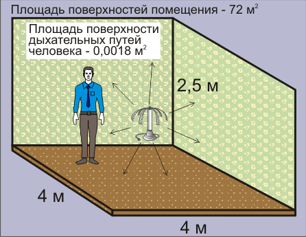 Сравнение размера площади помещения с размерами площади поверхности дыхательных путей человека. Официальный сайт ионизаторы воздуха люстры Чижевского.